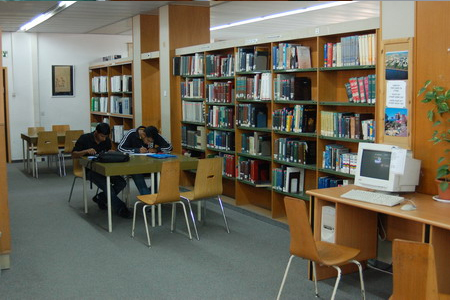 נאמן בטיחות בסיסי